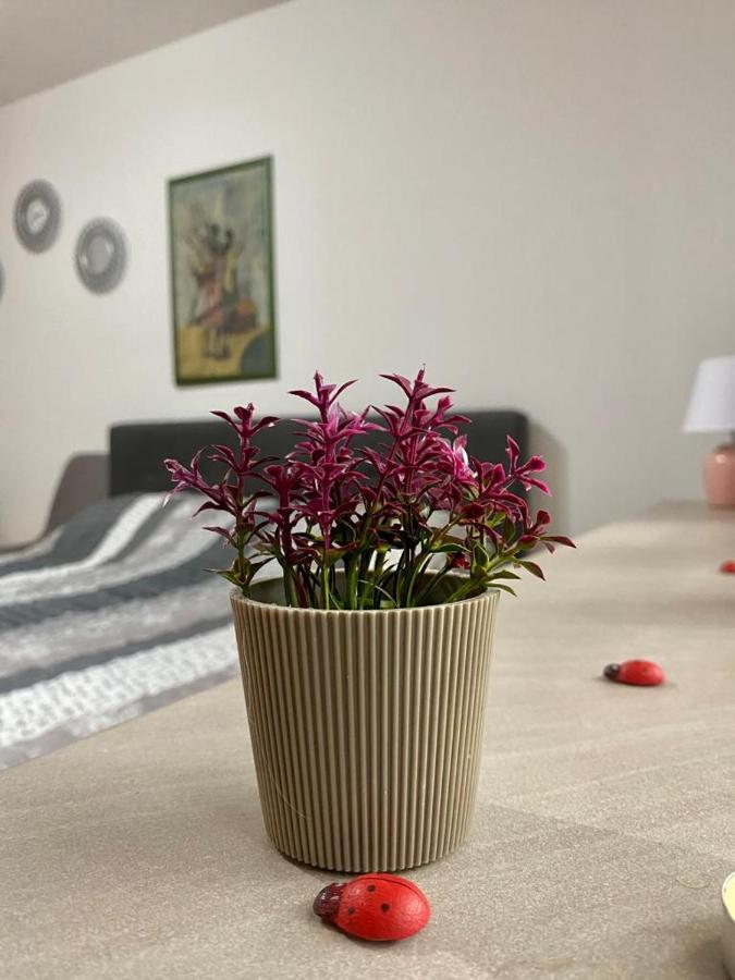 Cozy Apartment Ladybug, ซาราเยโว ภายนอก รูปภาพ